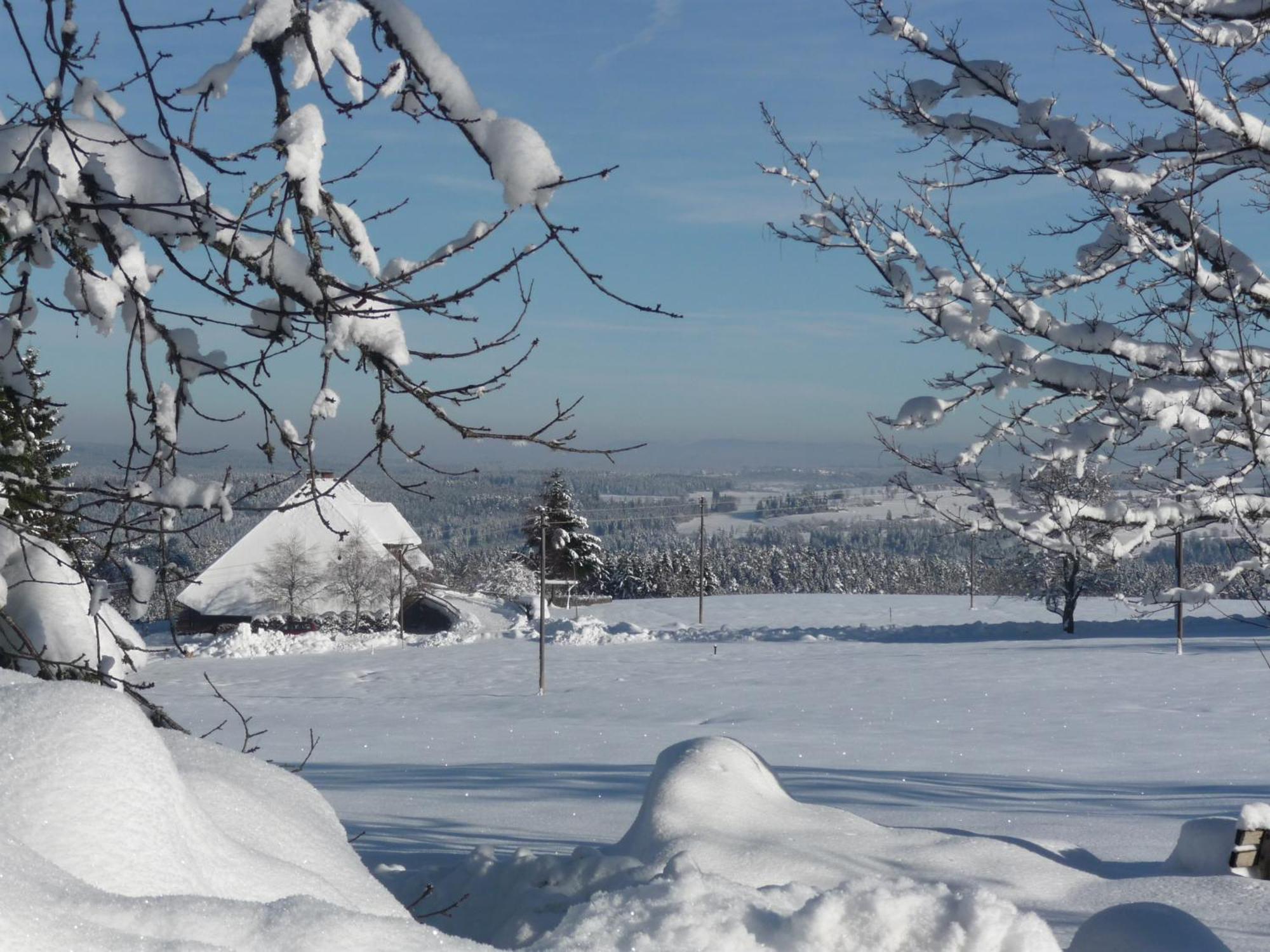Hoehenpension Glashuette Bed&Breakfast Fruehstueckspension Hotel Garni Bonndorf im Schwarzwald Eksteriør billede
