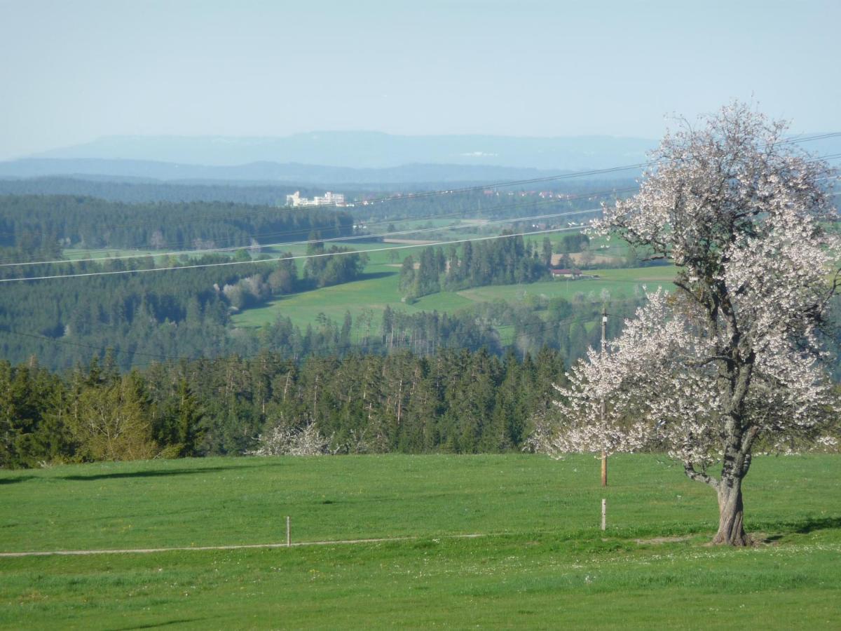 Hoehenpension Glashuette Bed&Breakfast Fruehstueckspension Hotel Garni Bonndorf im Schwarzwald Eksteriør billede